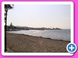 picture-5