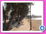 picture-7